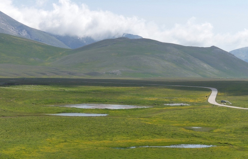 Orchidee a Campo Imperatore tra Medioevo e wilderness  primavera 2023